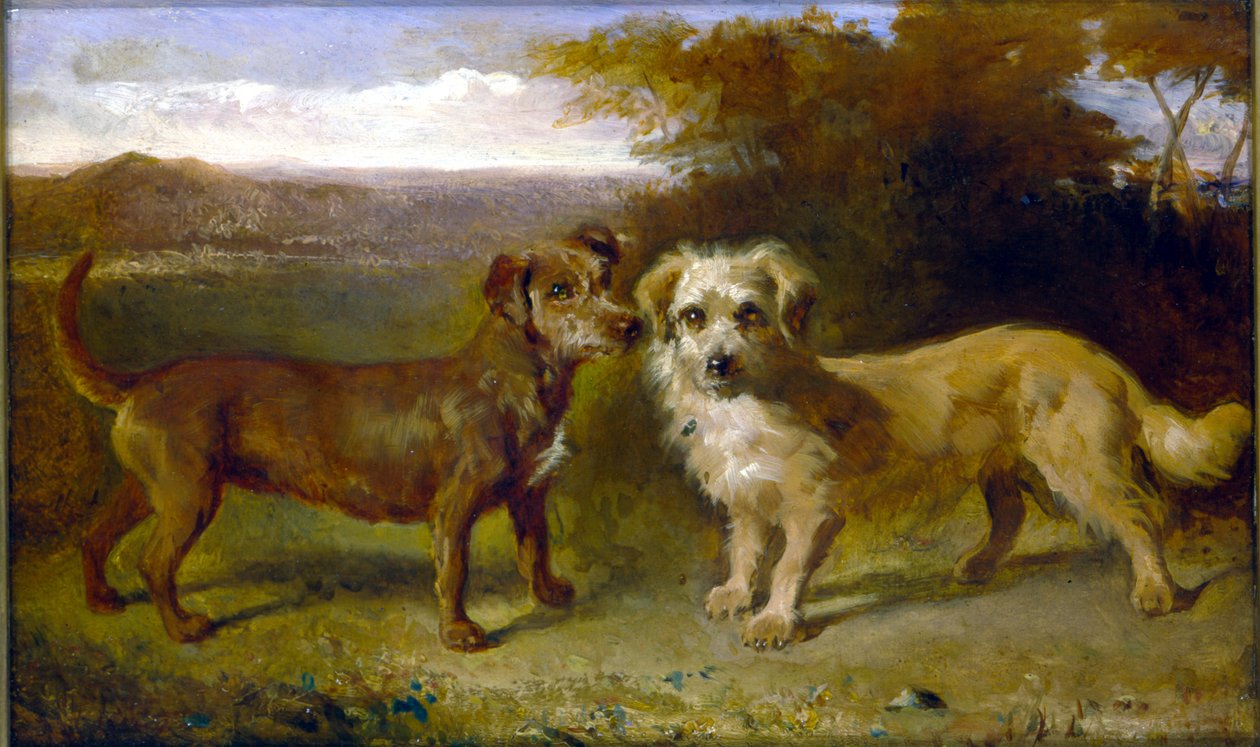 Compagnons - John Glass