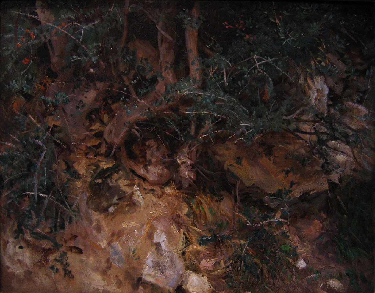 Valldemossa, Majorque : Chardons et herbes sur une colline - John Singer Sargent