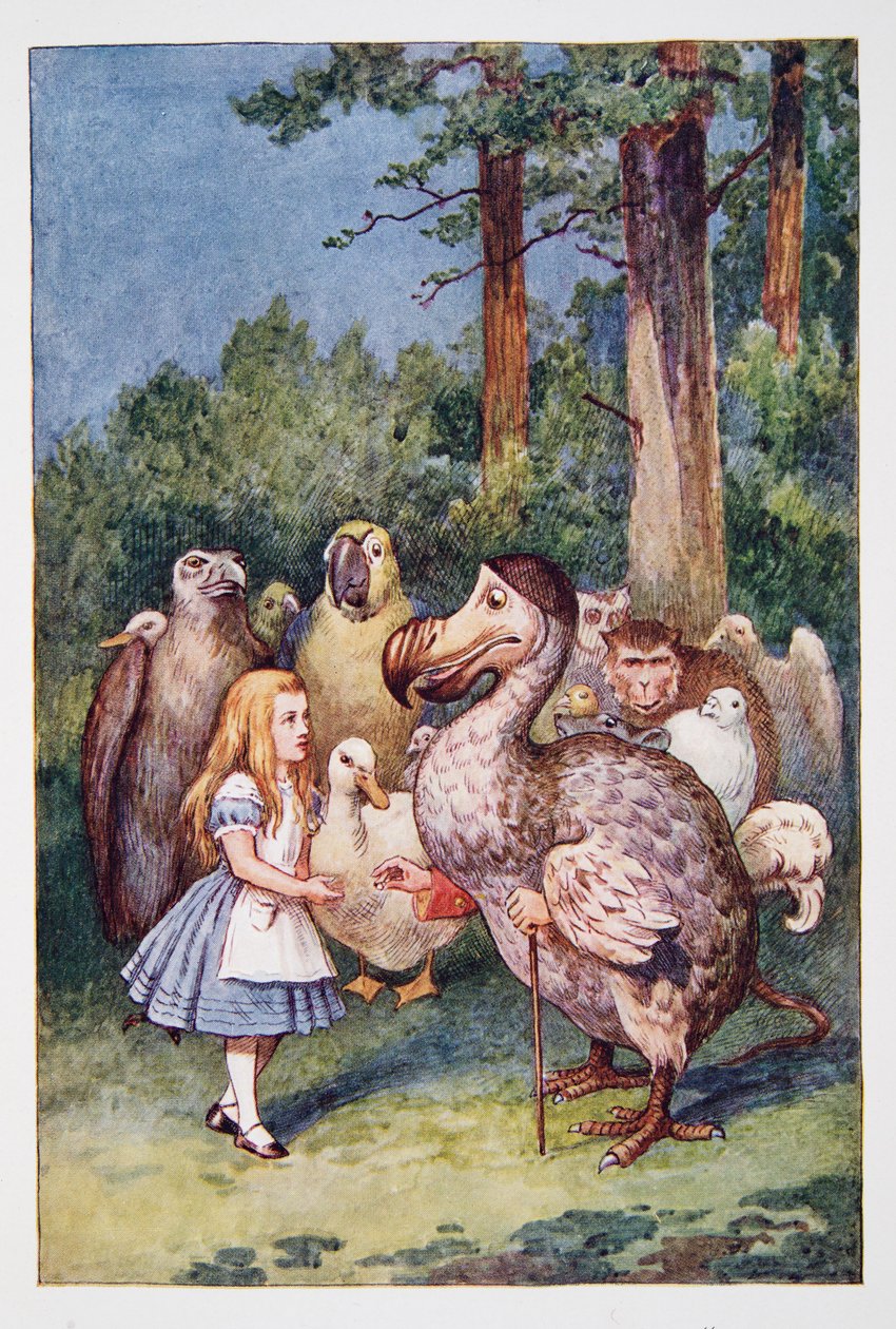 Alice rencontre le Dodo, Les Aventures d