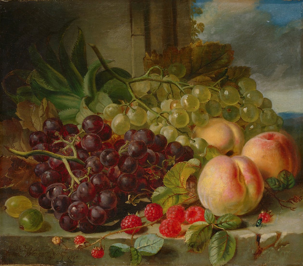Nature morte avec fruits, 1862 - John Wainwright