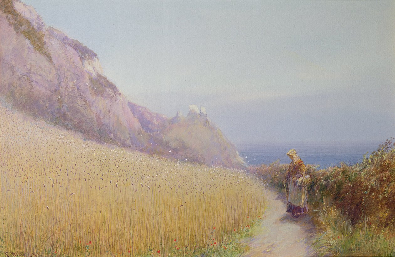Un champ de maïs près de Sidmouth, Devon - John White