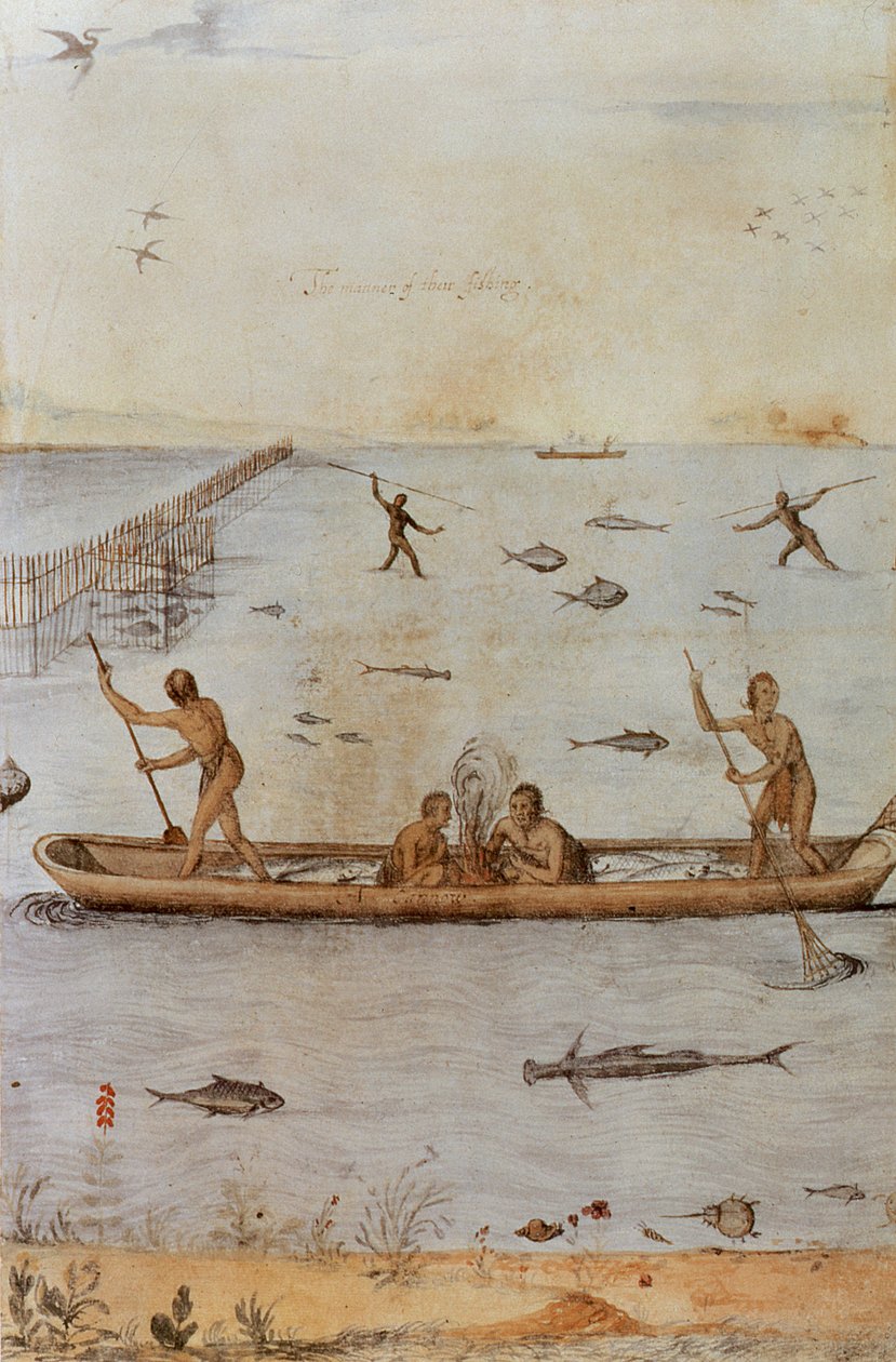 Indiens pêchant - John White