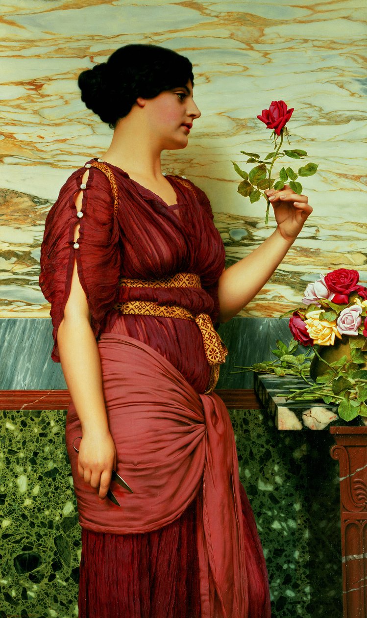 Une rose rouge, rouge - John William Godward