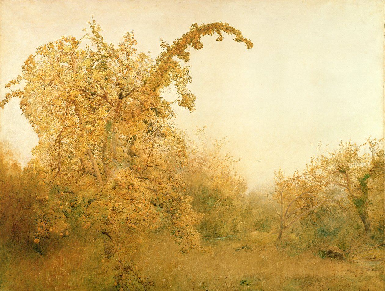Le Vieux Poirier - John William North