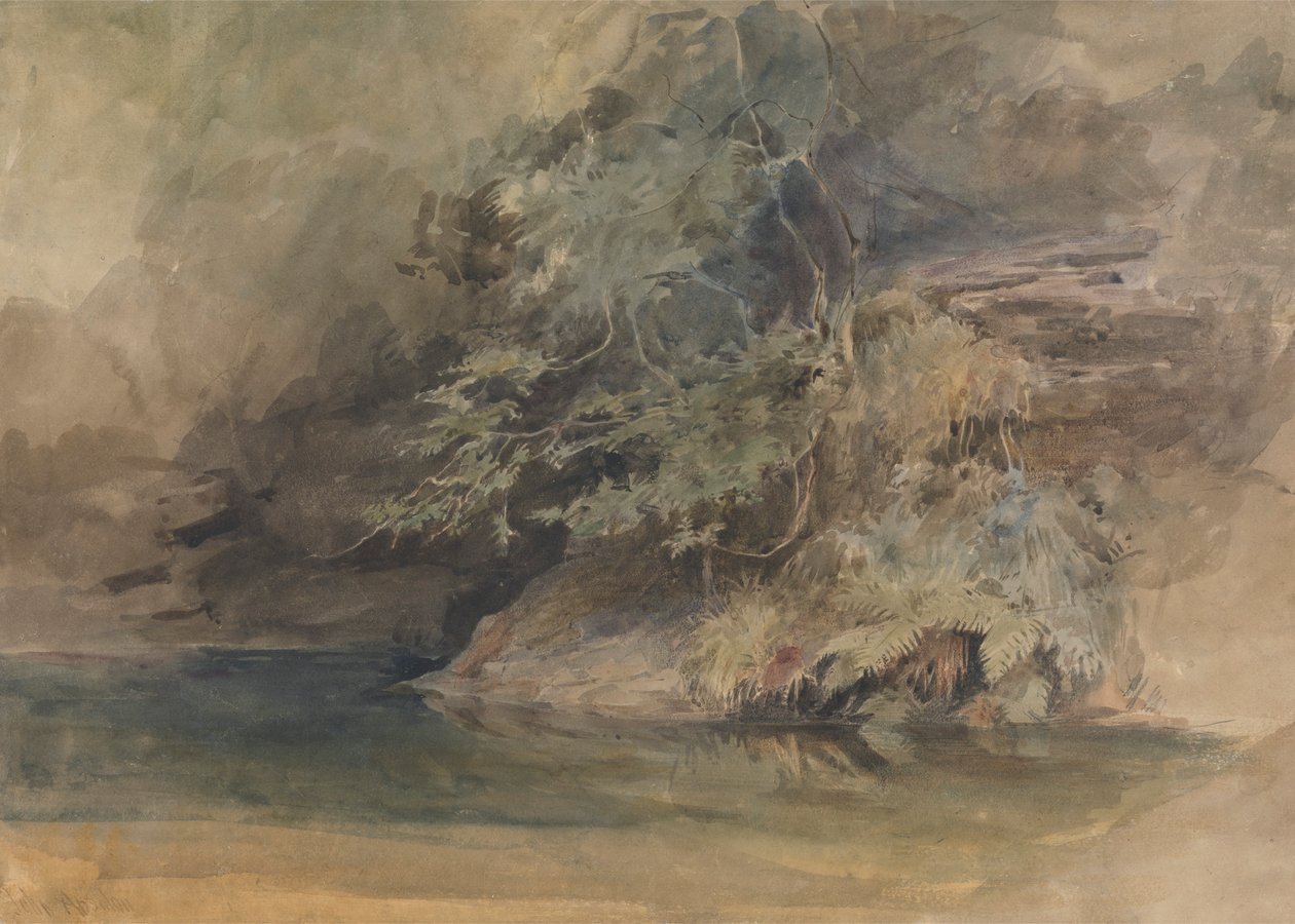 Arbres près d