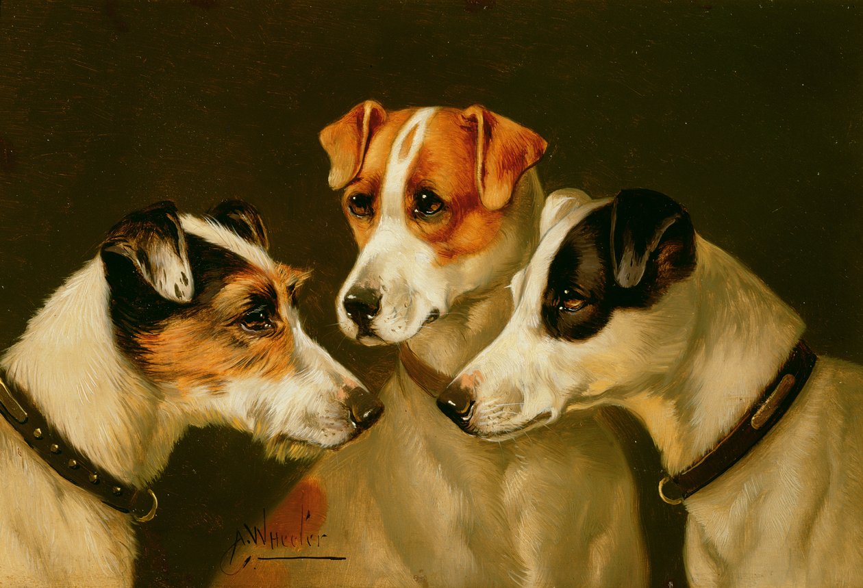 Les Chiens - John Alfred Wheeler