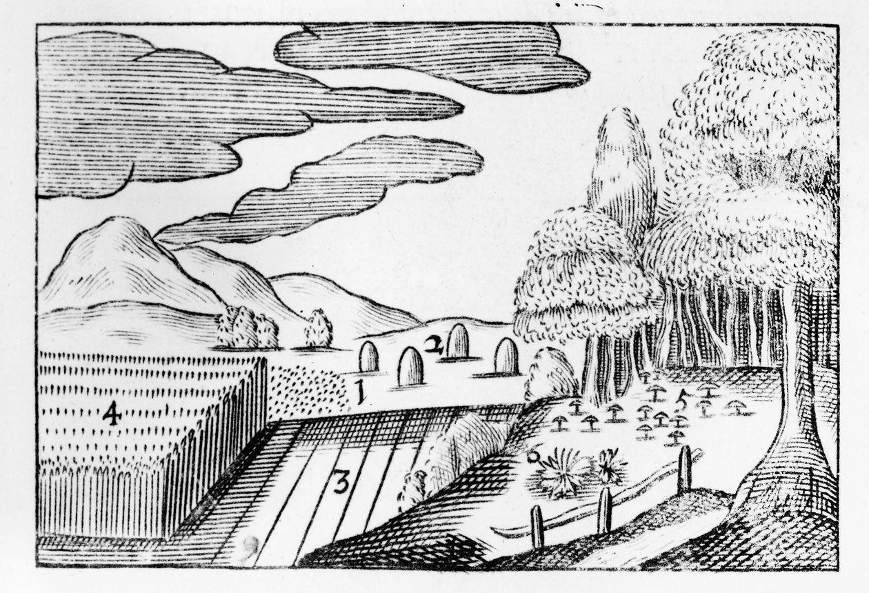 Fruits de la Terre, 1658 - John Amos Comenius