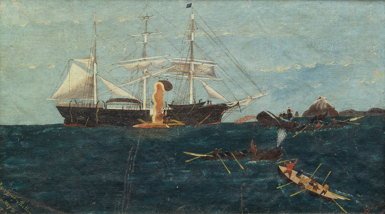 Bark Bounding Billow, vers 1892 (huile sur toile) - John Bertoncini