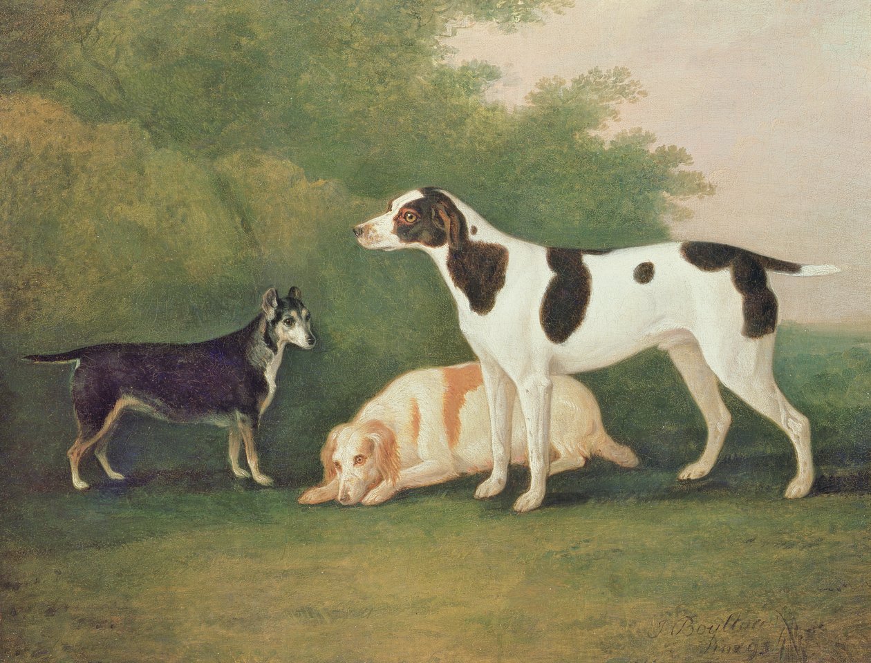 Trois chiens dans un paysage - John Boultbee