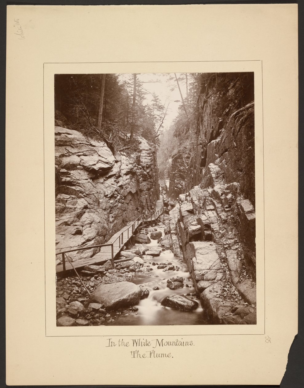 Dans les montagnes blanches/The Flume - John Coates Browne