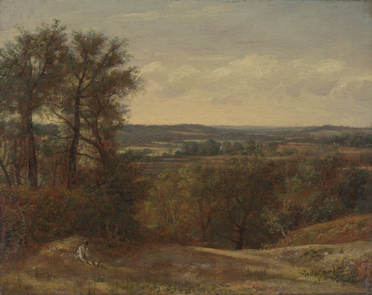 Vallée de Dedham - John Constable