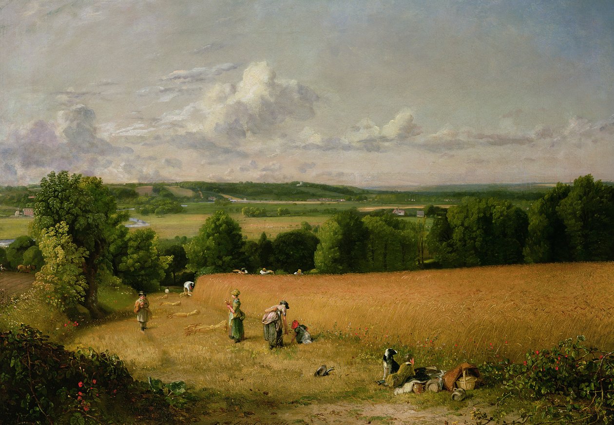 Champ de blé - John Constable