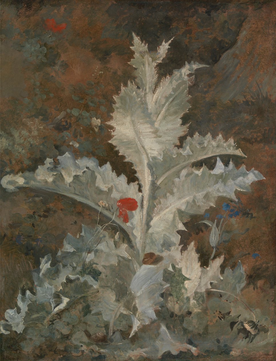 Un chardon - John Crome