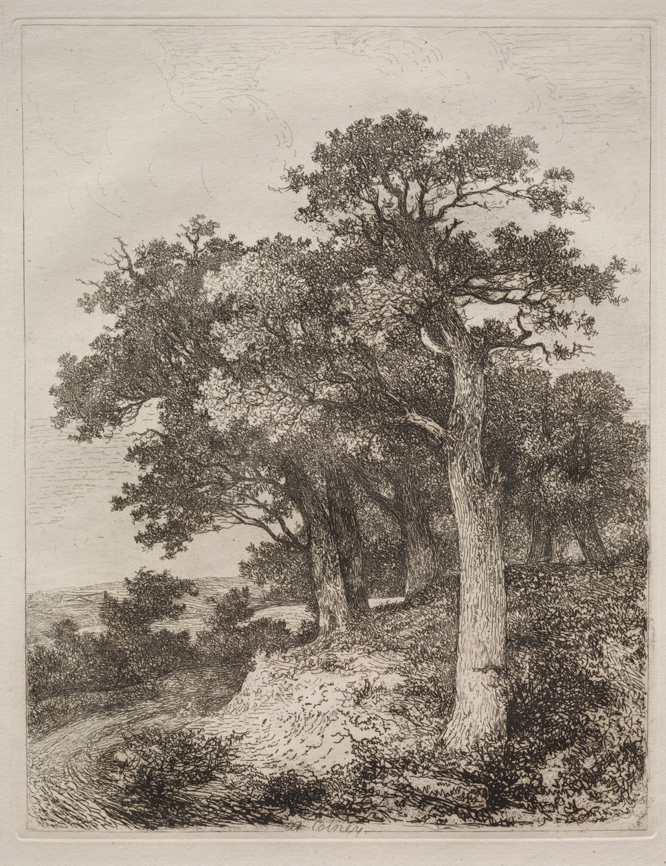 À Colney - John Crome