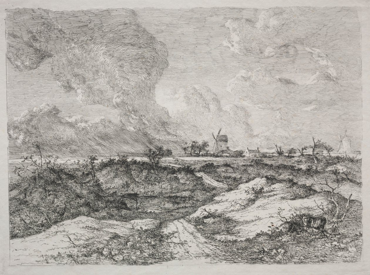 Mousehold Heath, vers 1810-13 - John Crome
