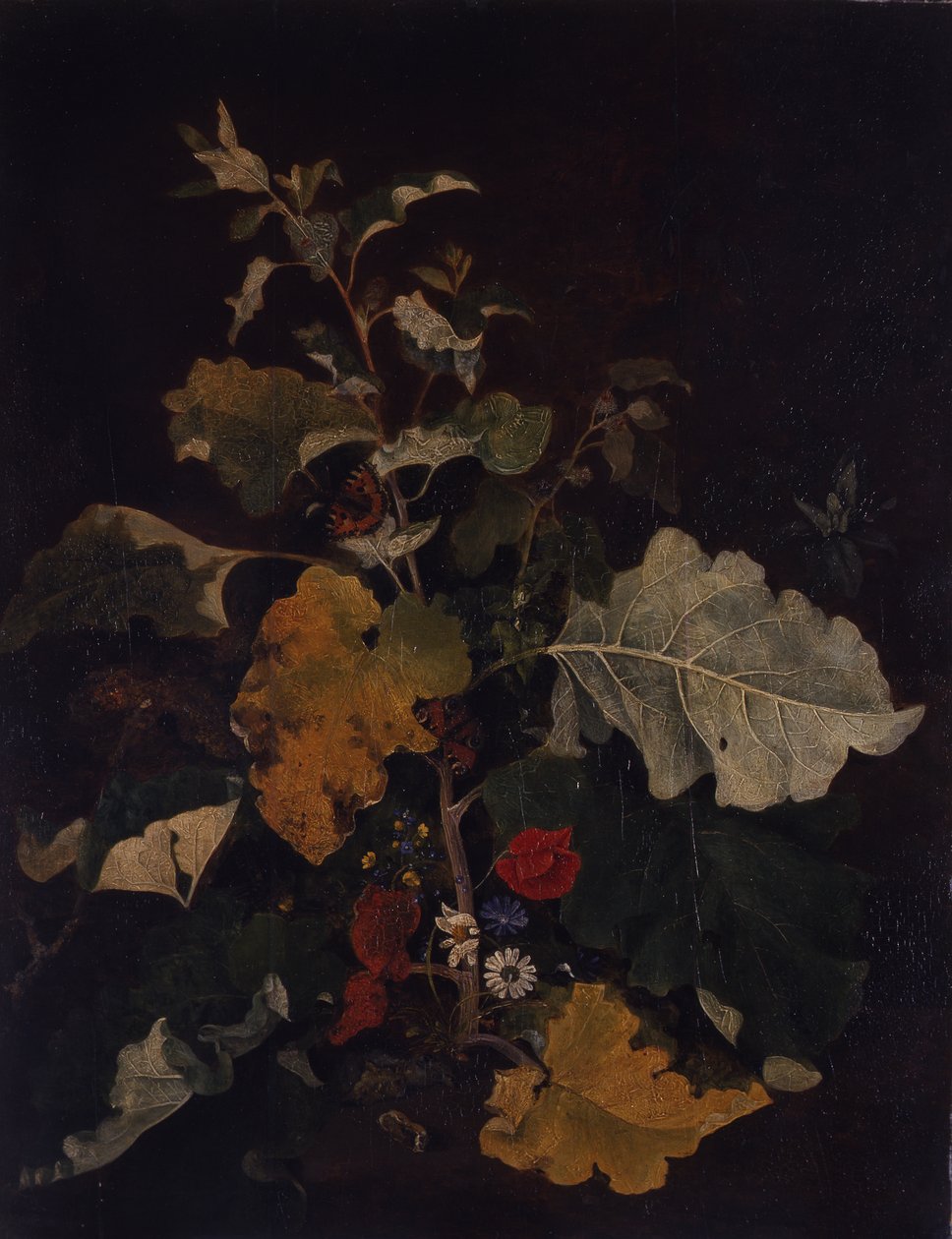 Étude de bardane - John Crome