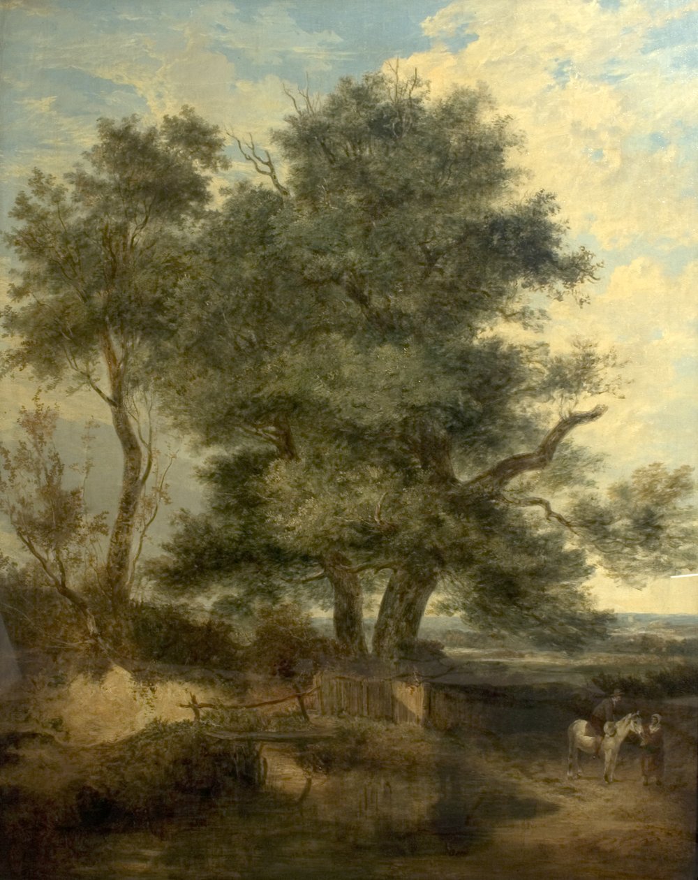 Arbres près d
