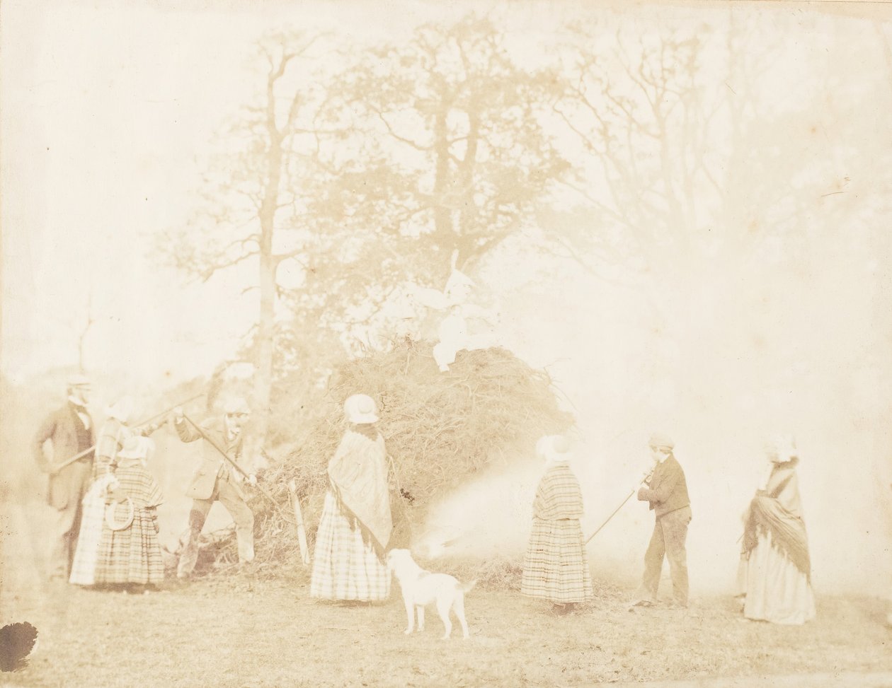 Guy Fawkes, 1853 - John Dillwyn Llewelyn
