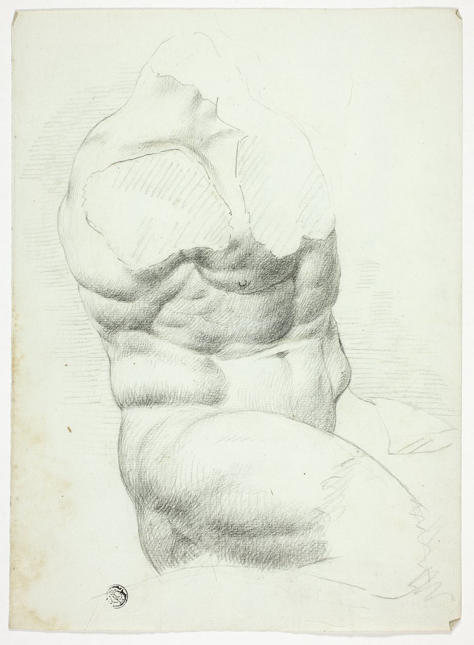 Torse d
