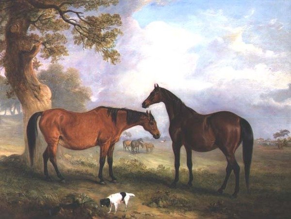 Juments au Pâturage - John E. Ferneley