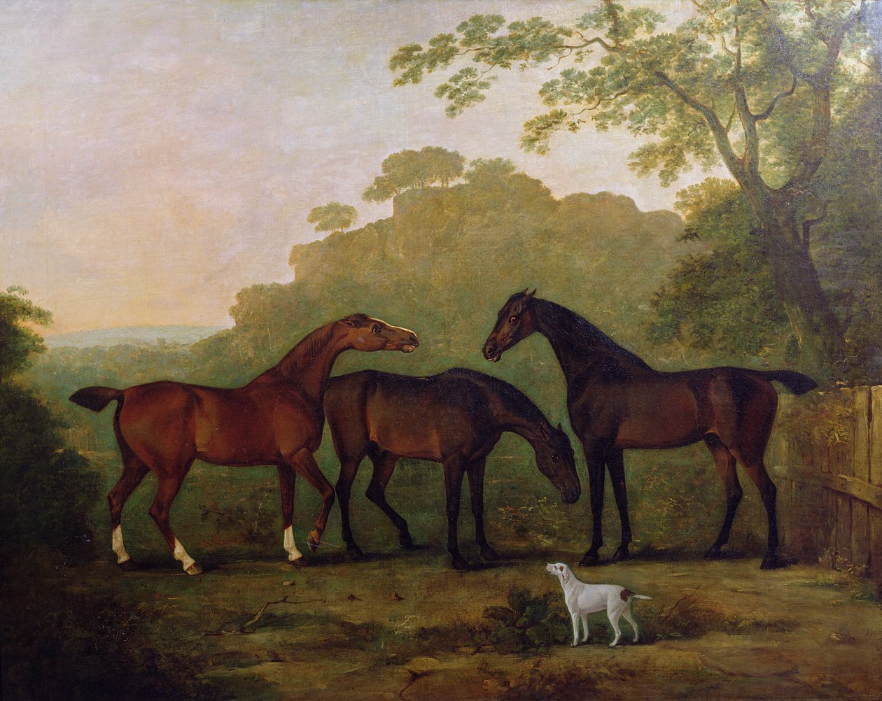 Chasseurs à l