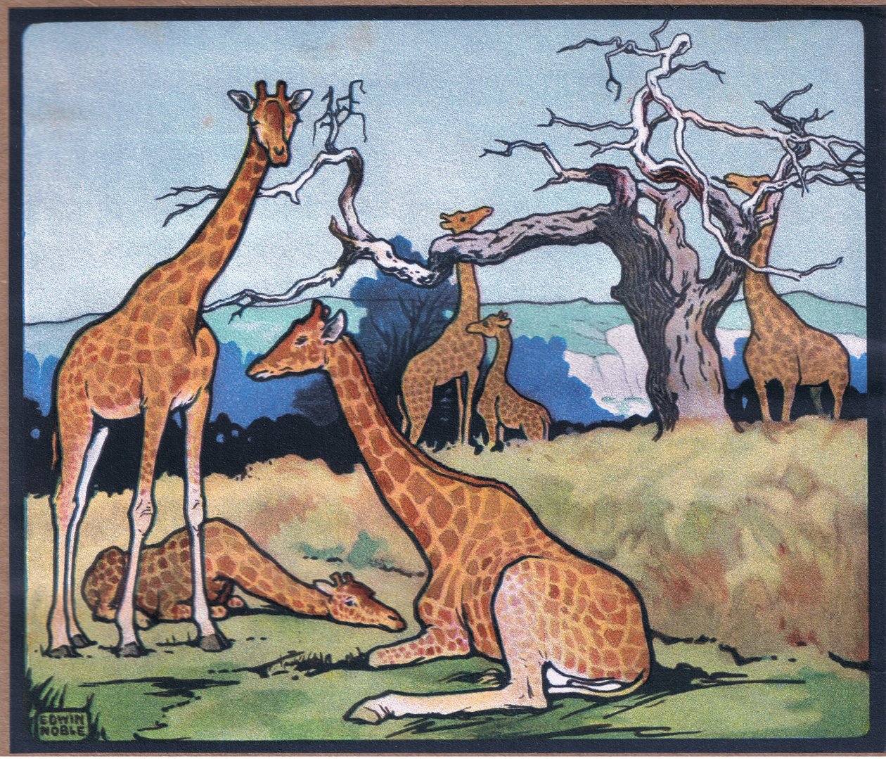 Girafe - John Edwin Noble