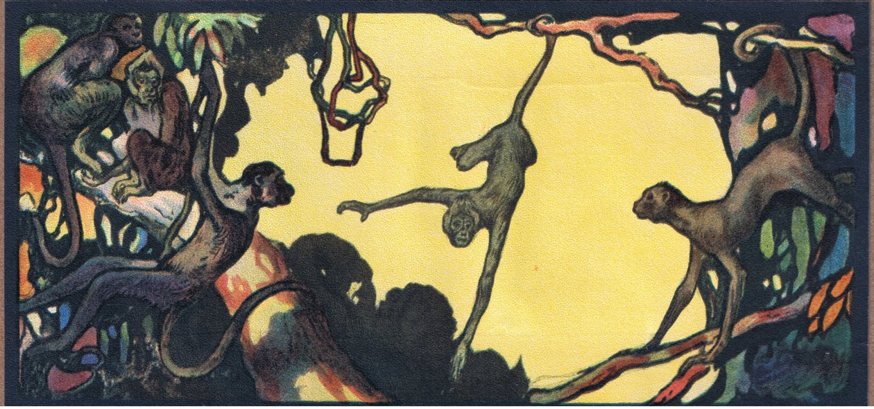 Singes-araignées - John Edwin Noble