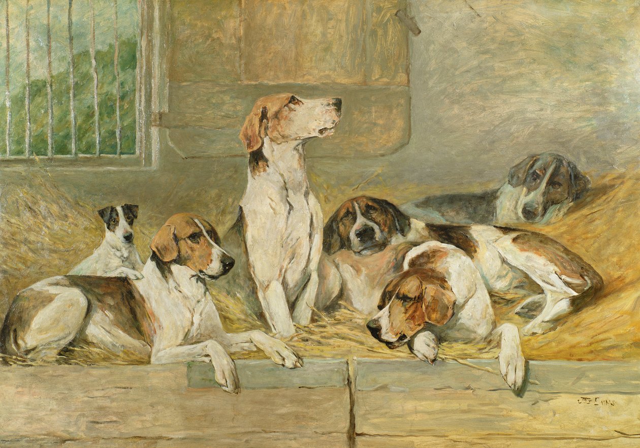Chiens - John Emms