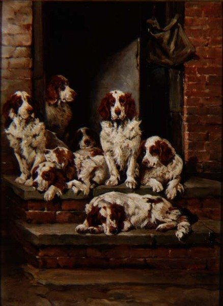 Spaniels en abondance - John Emms