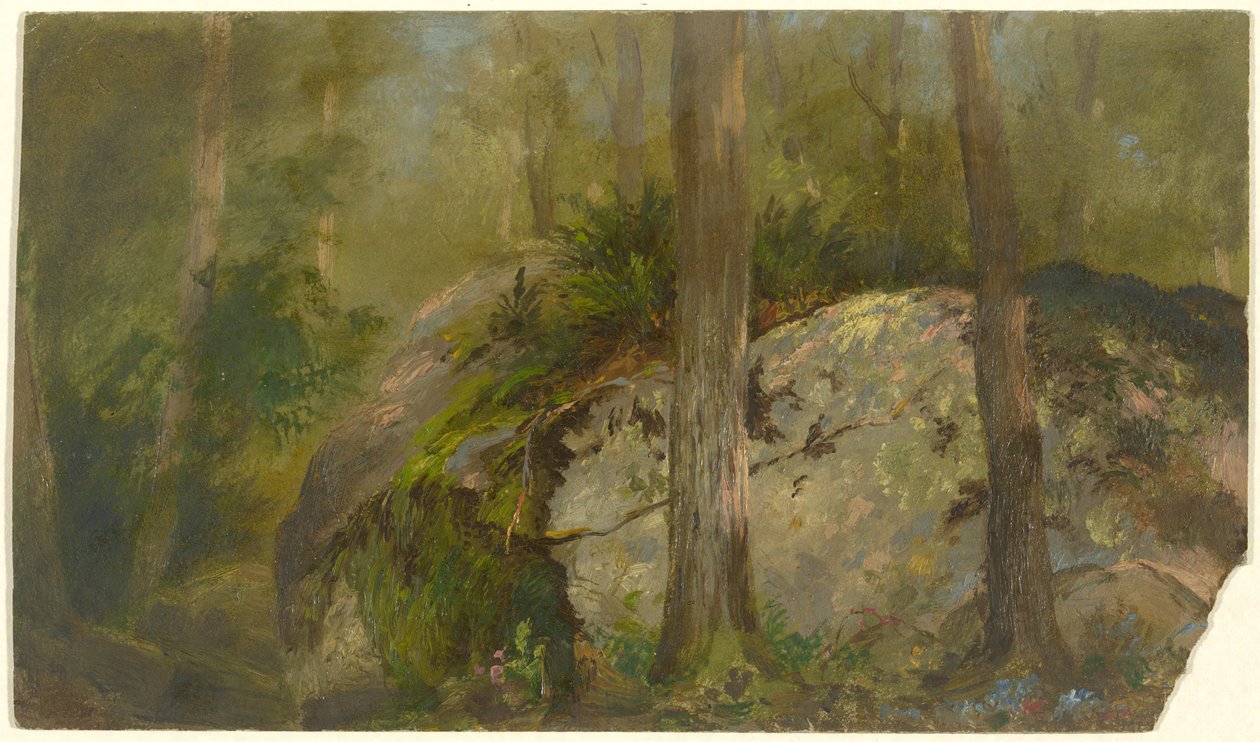 Scène de forêt - John Ferguson Weir