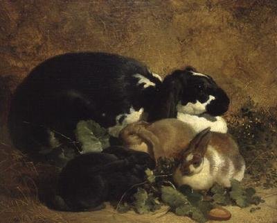 Lapins - John Frederick Herring Senior