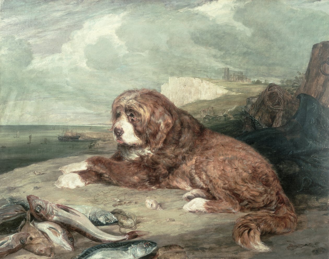 Un Vieux Chien Terre-Neuve - John Frederick Lewis
