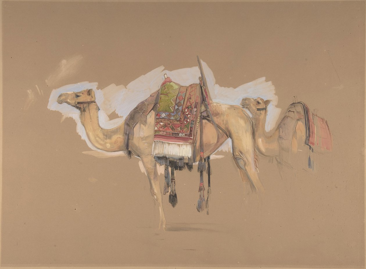 Deux chameaux, vers 1843 - John Frederick Lewis