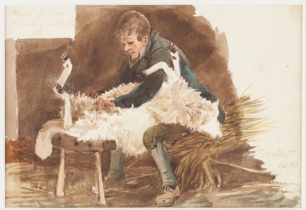 Tonte des moutons, 1808 - John Harden
