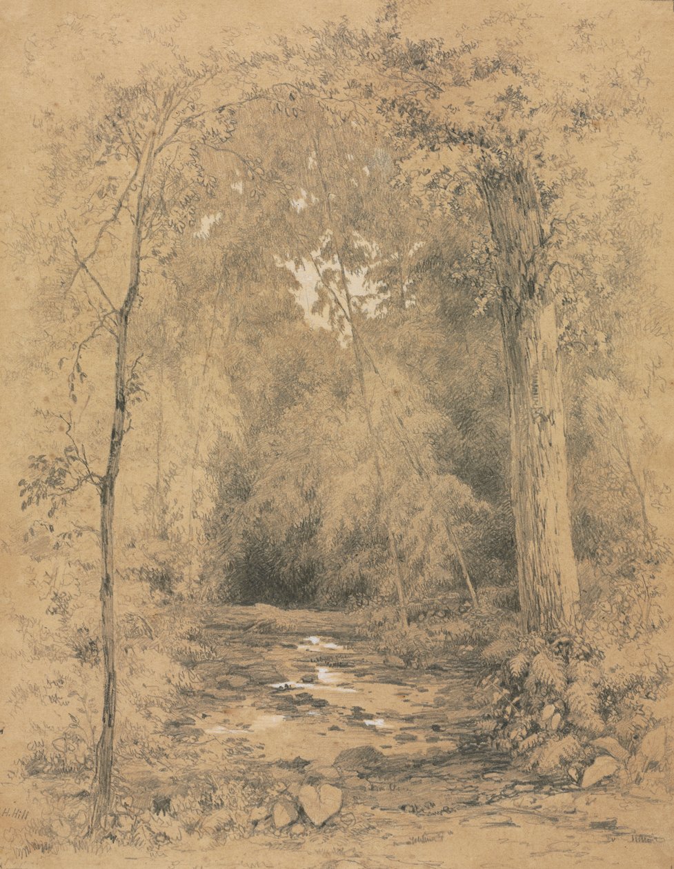 Intérieur de la forêt, c. 1870 - John Henry Hill