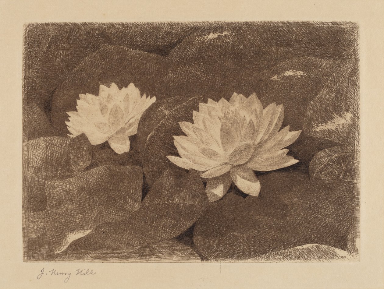 Nénuphars - John Henry Hill