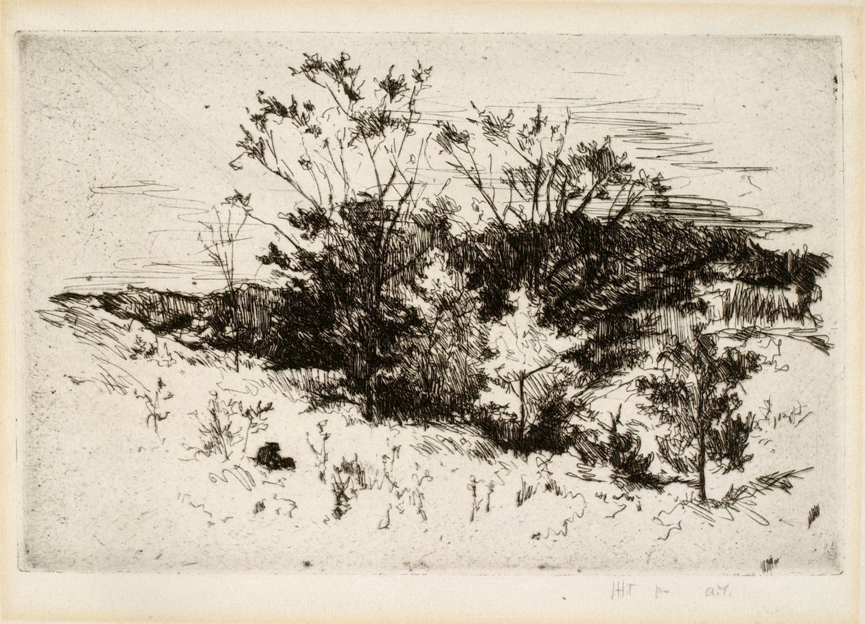 Paysage près de Cincinnati - John Henry Twachtman