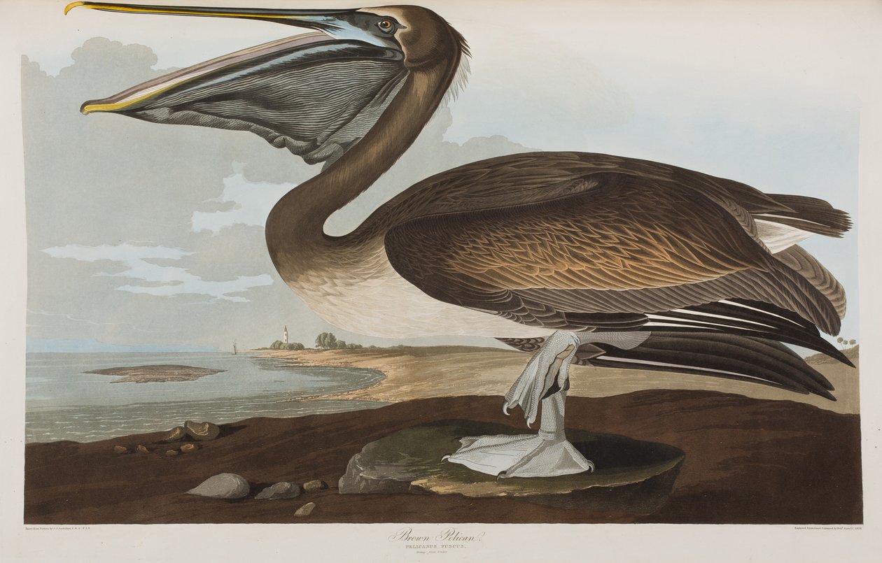 Illustration de 