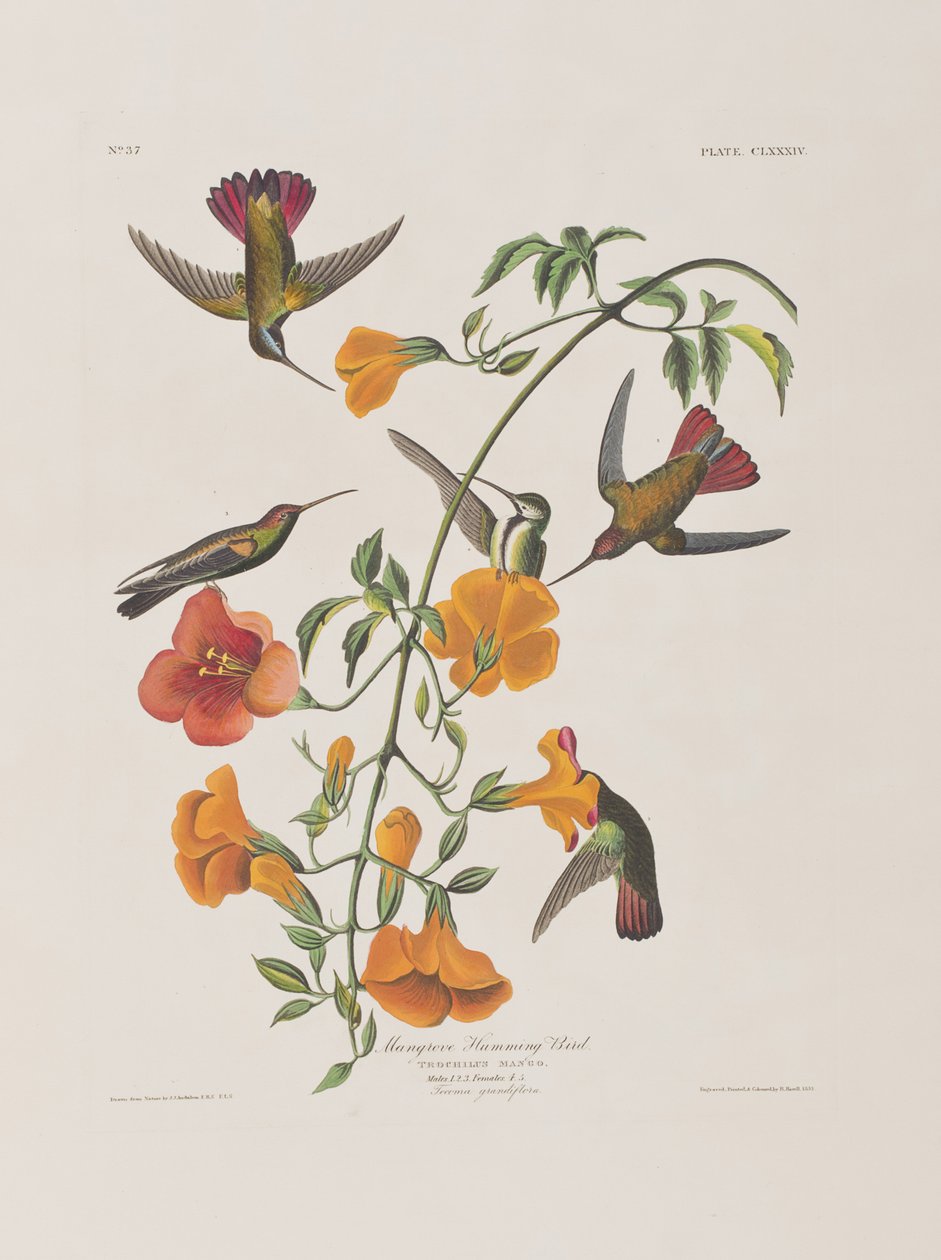 Illustration de 
