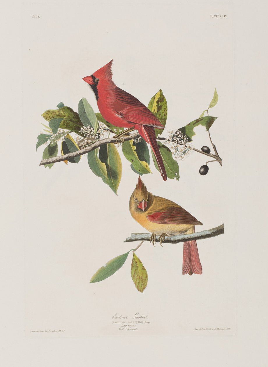 Illustration de 