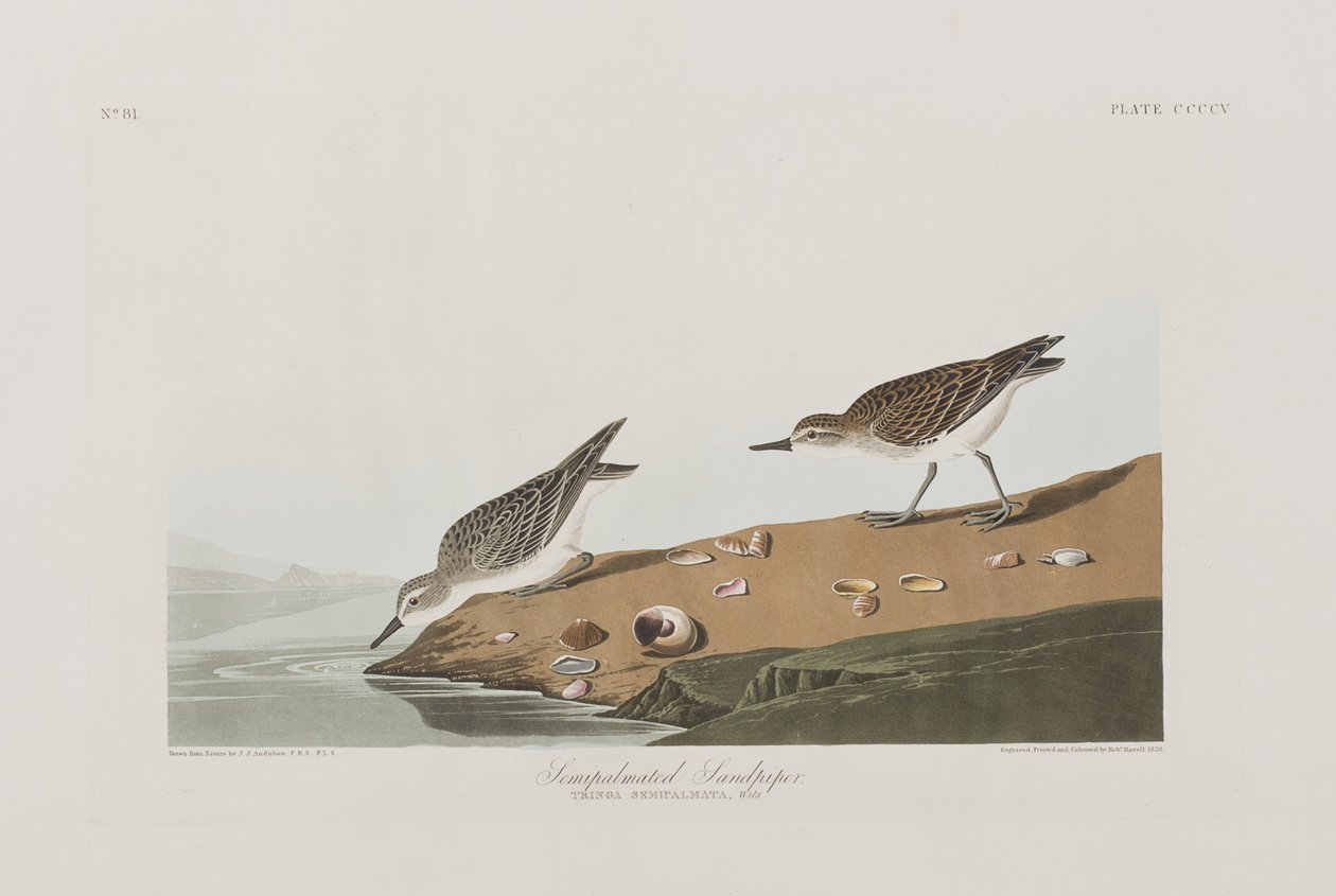 Illustration de 