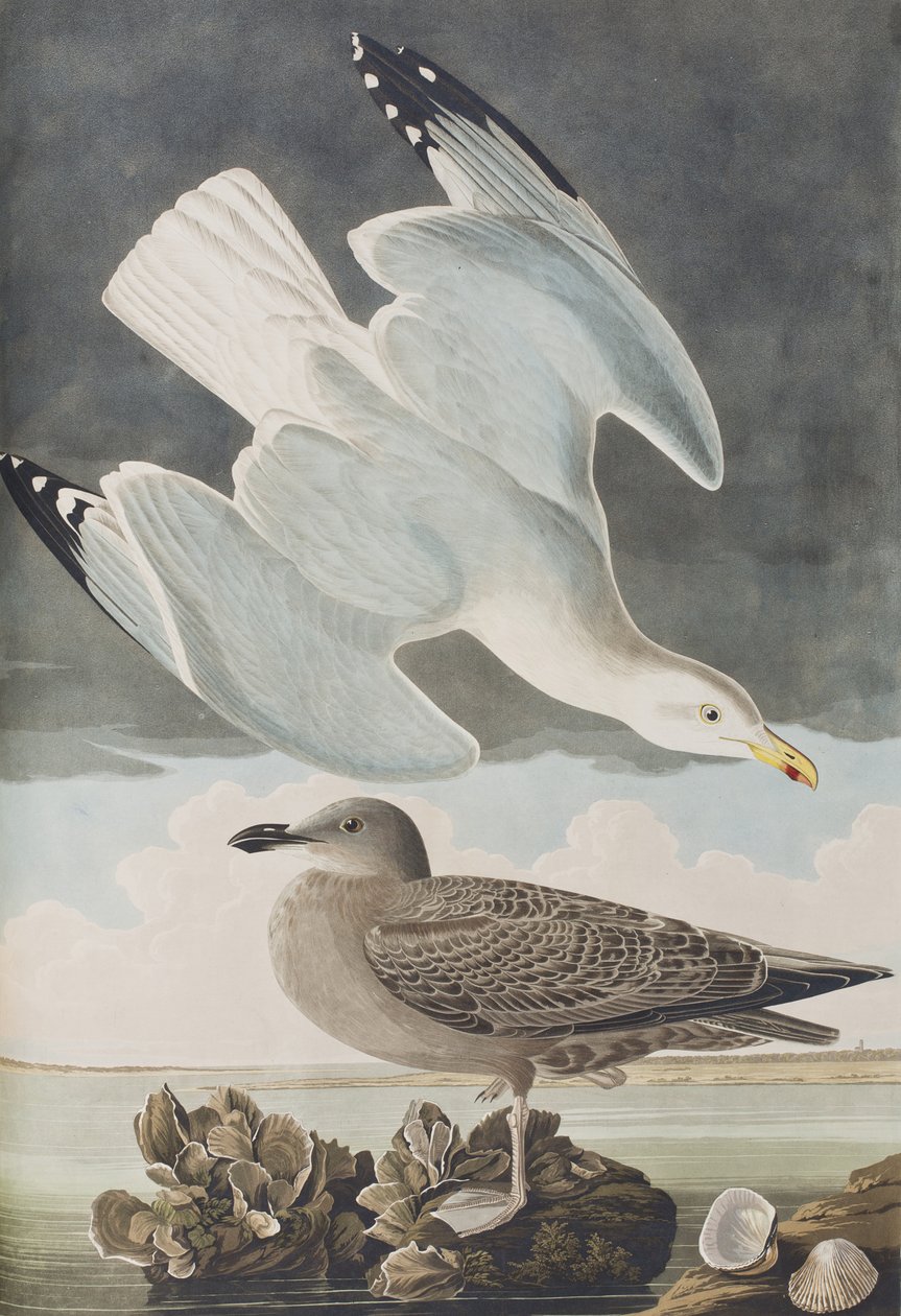Illustration de 