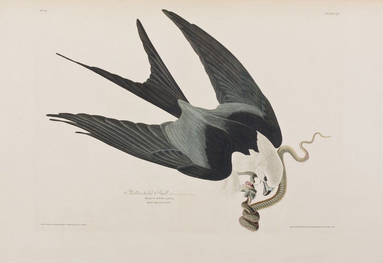 Illustration de 