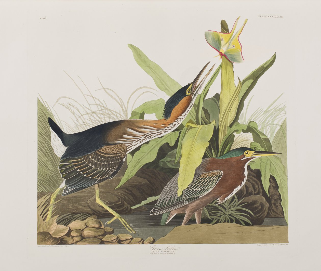 Illustration de 