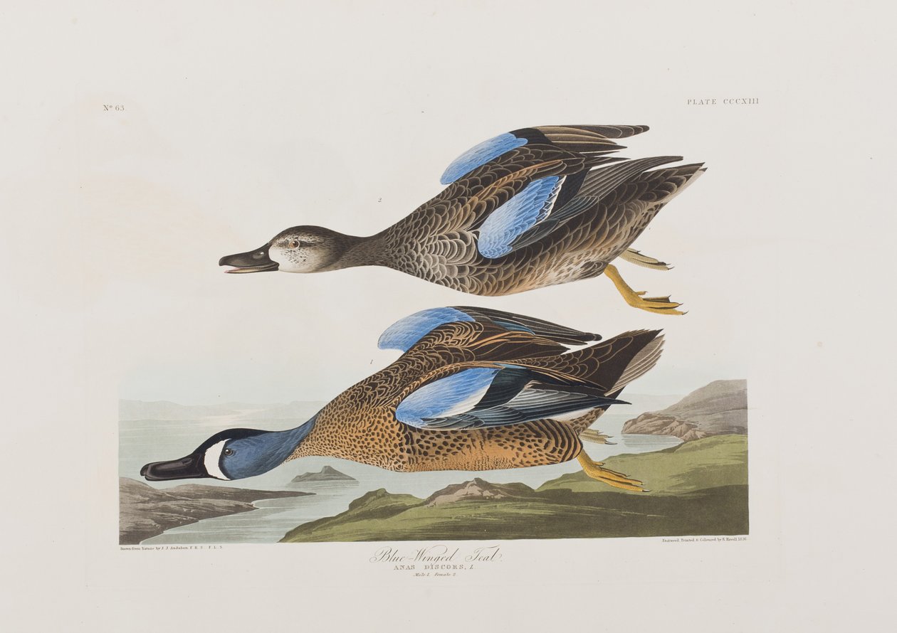 Illustration de 
