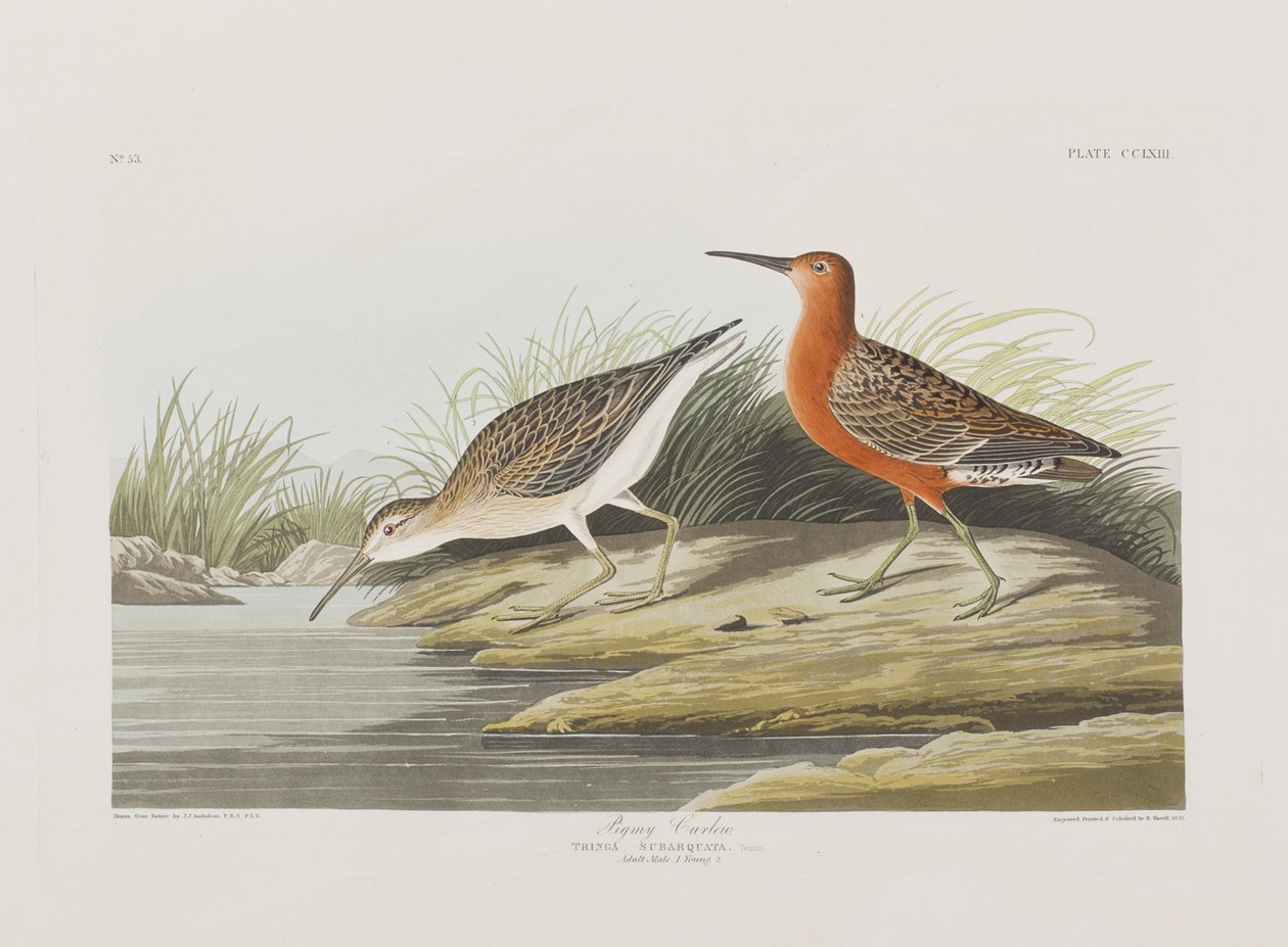 Illustration de 