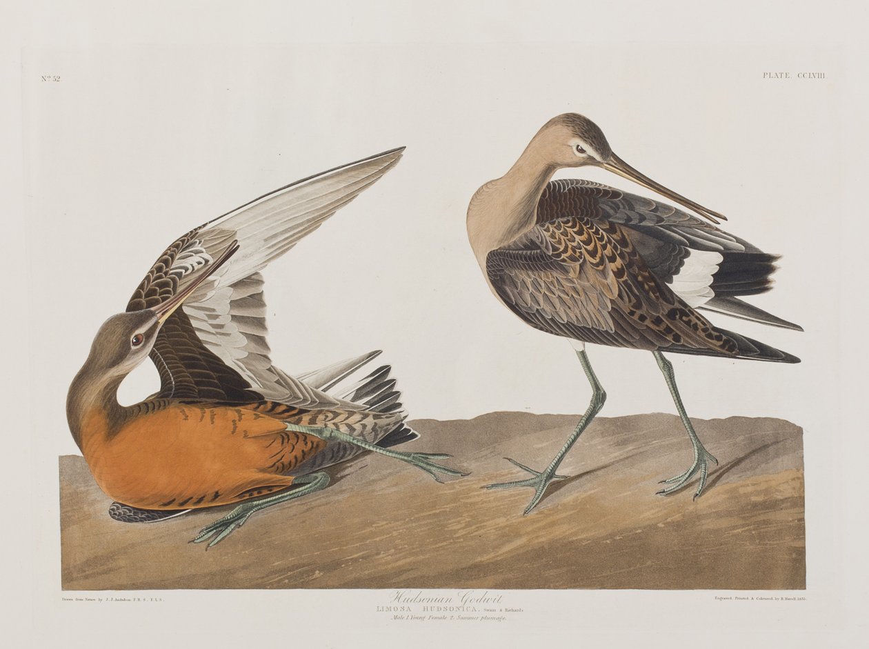 Illustration de 