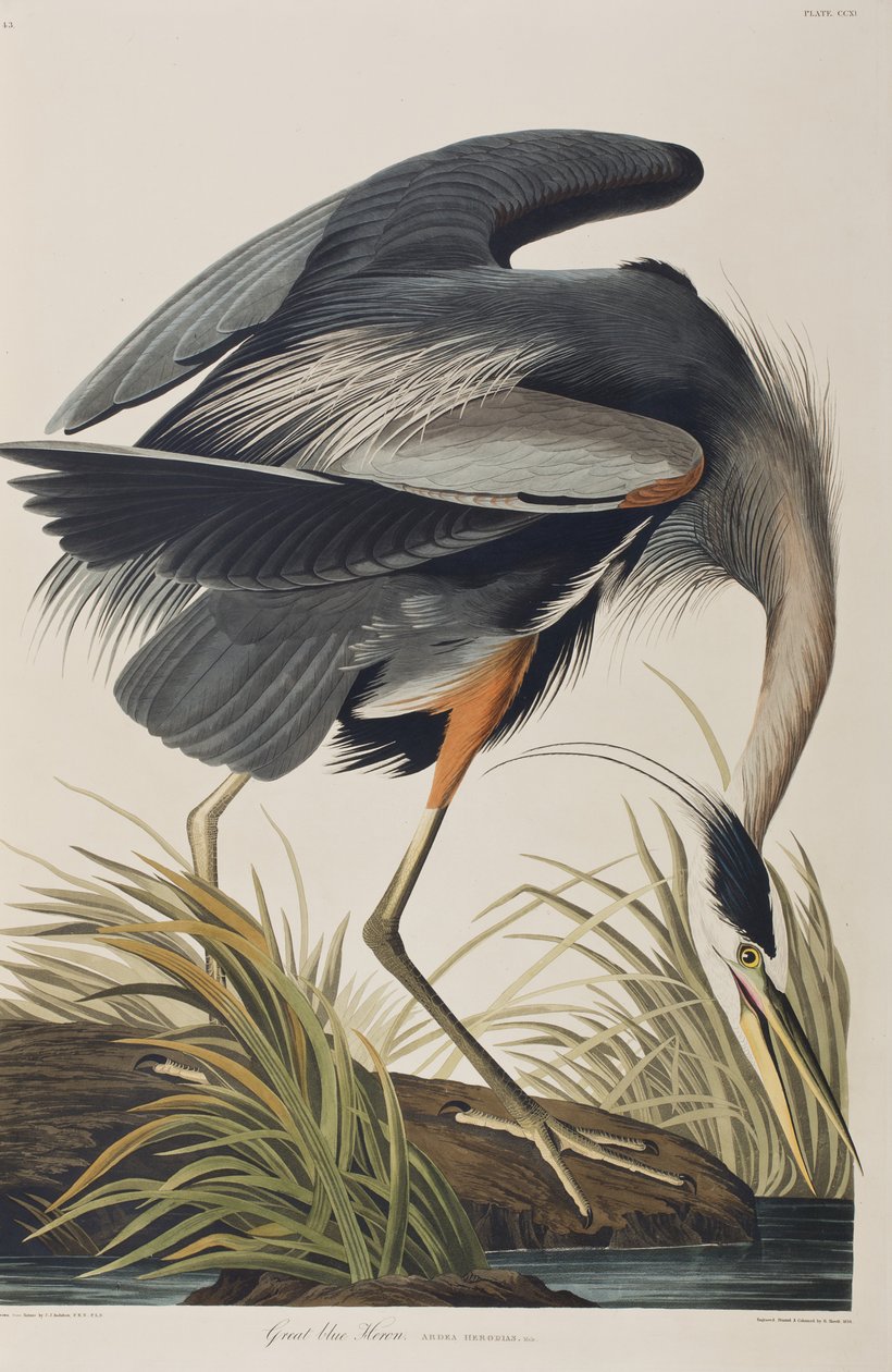 Illustration de 