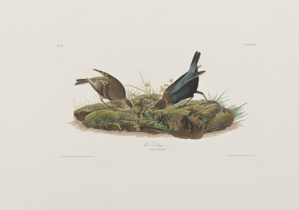 Illustration de 