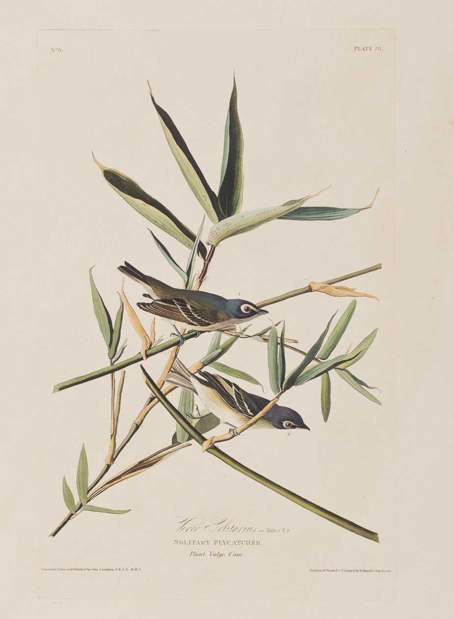 Illustration de 